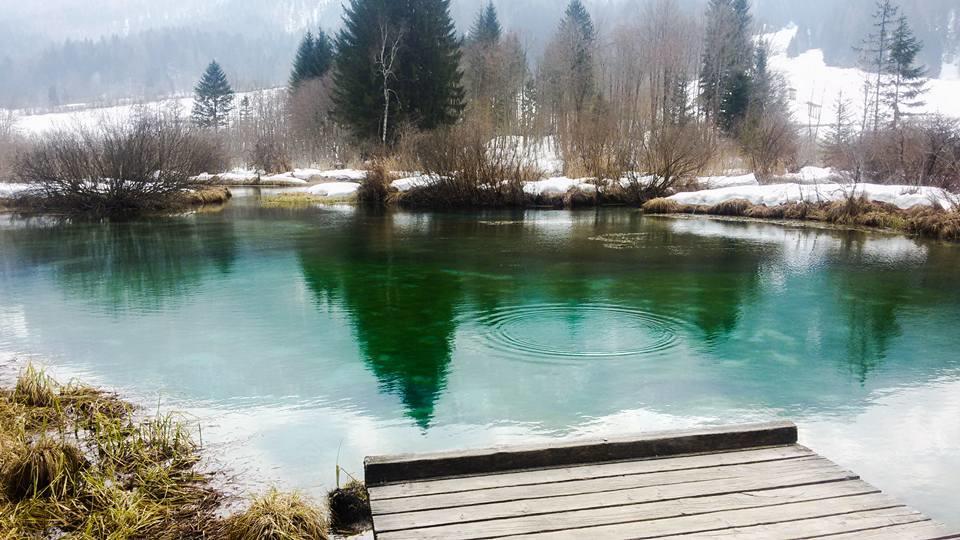 Alpine Spot Apartment Kranjska Gora Bagian luar foto