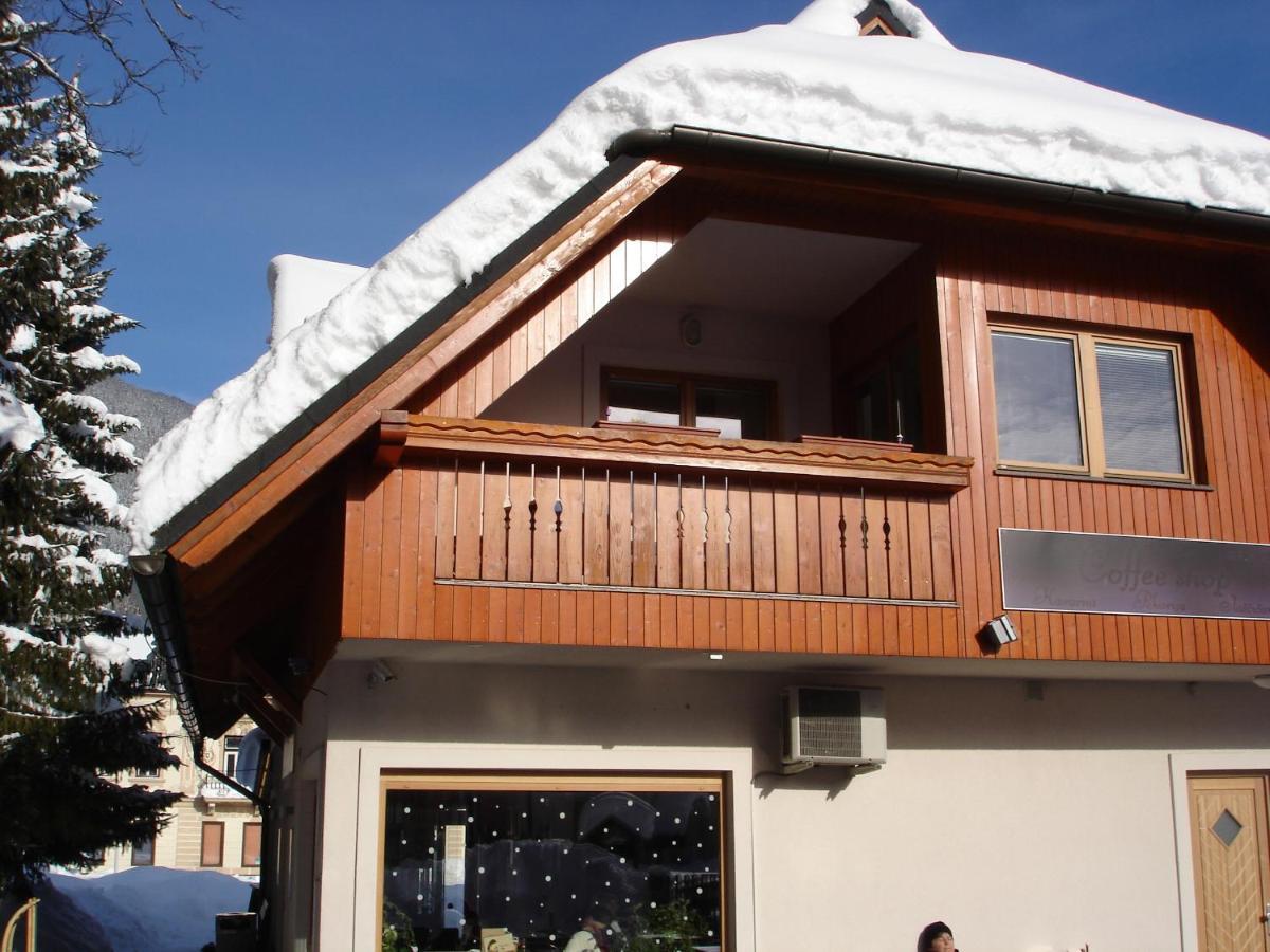 Alpine Spot Apartment Kranjska Gora Ruang foto